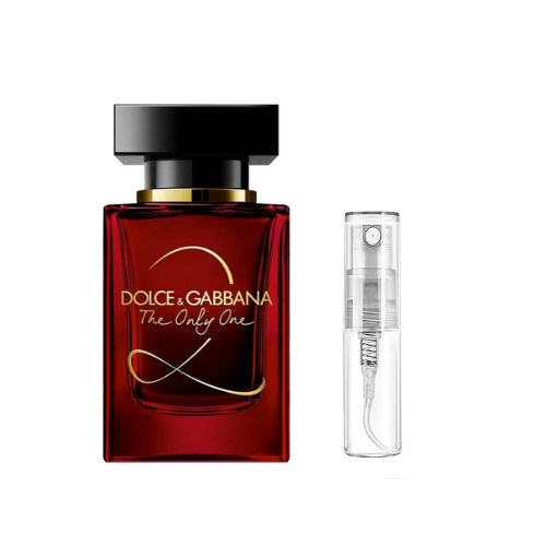 The Only One 2 Dolce&Gabbana