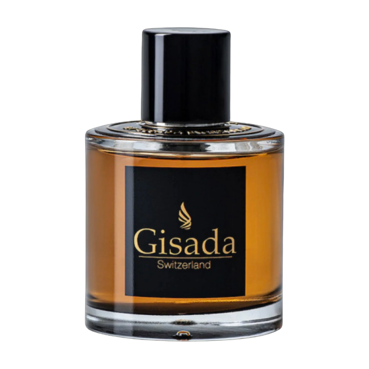 Ambassador Men - Gisada