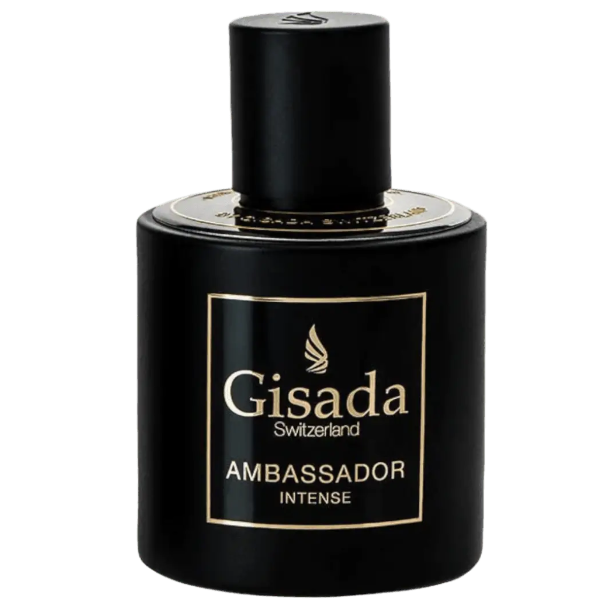 Ambassador Intense - Gisada